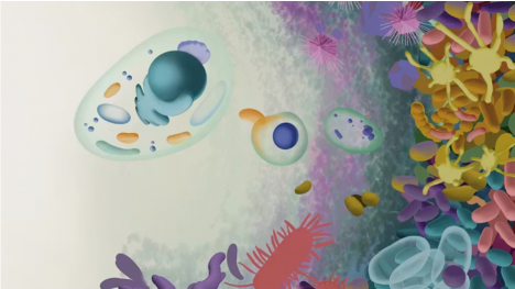 Virus gigantes, la pieza inesperada para explicar el origen de la vida compleja