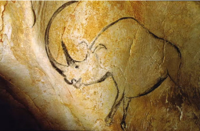Los neandertales utilizaban dientes de rinoceronte para tallar la piedra