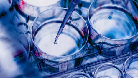 Día Mundial de la Biotecnología: cómo Chile puede liderar la innovación científica