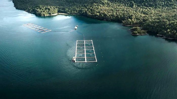Economía Azul: el océano de Chile como actor estratégico