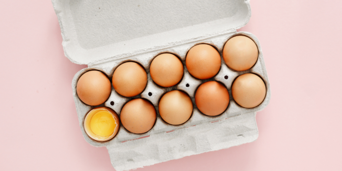 ¿Huevos de “gallinas felices”? Sernac advierte que el concepto no tiene definición legal en Chile