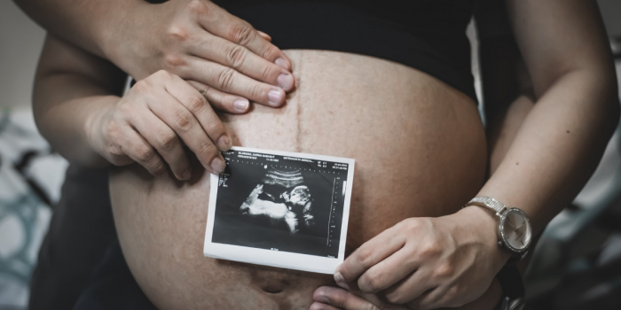 Natalidad y maternidad subrogada