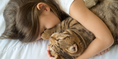 Investigación con más de 30 mil niños no encontró efectos negativos de los gatos en el asma