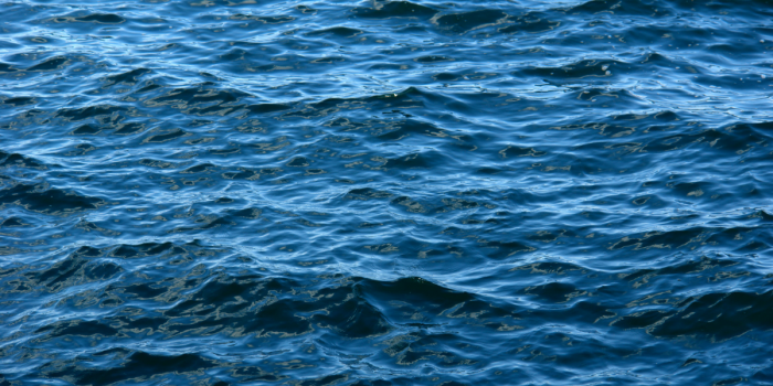 Estudio revela cómo comunidades costeras enfrentan la contaminación marina