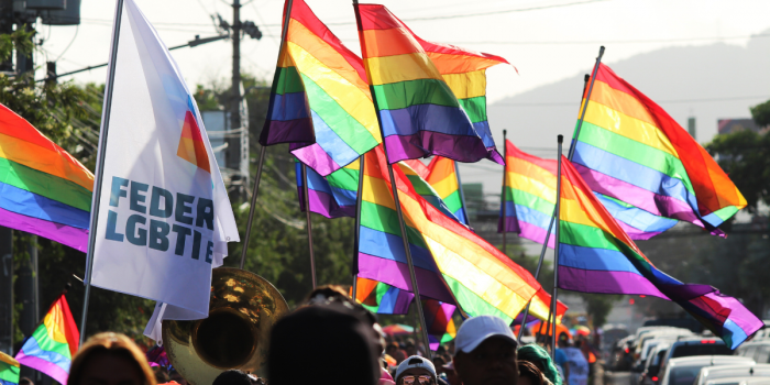 Estudio de Ipsos: Sólo 30% cree que el gobierno de Kast protege los derechos de comunidades LGBTIQ+