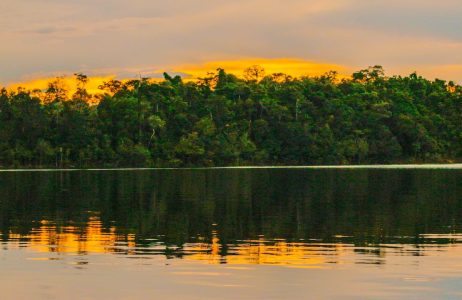 El futuro climático del planeta se juega en las elecciones de Brasil