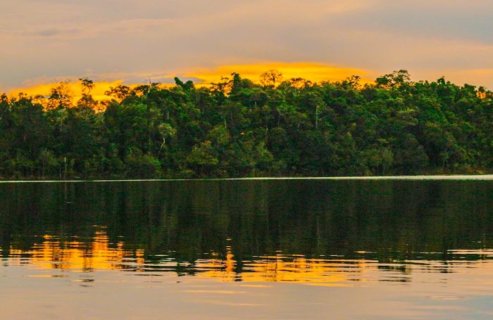 El futuro climático del planeta se juega en las elecciones de Brasil