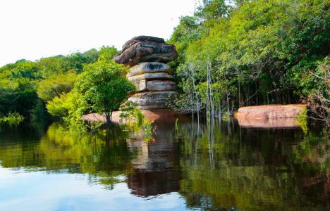 Playas, montañas, cascadas, dunas y cuevas selváticas: parques nacionales para descubrir en Brasil
