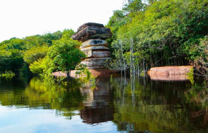 Playas, montañas, cascadas, dunas y cuevas selváticas: parques nacionales para descubrir en Brasil