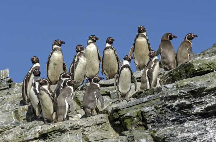 La inacción climática podría costar 250.000 vidas y un 4% del PIB global cada año hasta 2050
