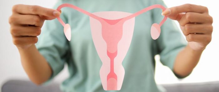 Reserva ovárica: especialistas recomiendan evaluar la fertilidad femenina antes de los 35 años