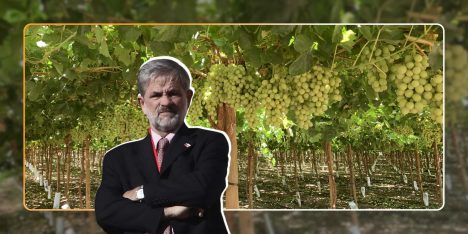 Alejandro Irarrázaval: el señor de los parrones