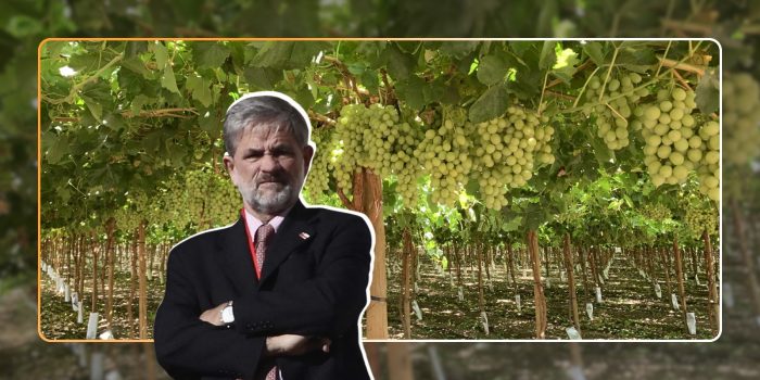 Alejandro Irarrázaval: el señor de los parrones