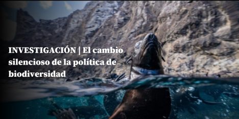 El rediseño silencioso de la política de biodiversidad: ¿ El SBAP será león o gatito?
