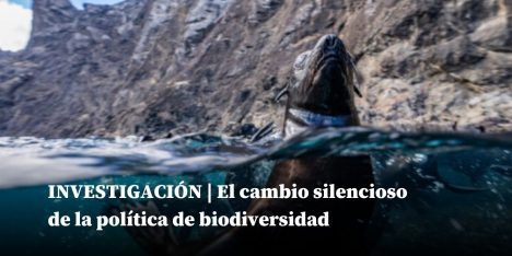 El rediseño silencioso de la política de biodiversidad: ¿ El SBAP será león o gatito?