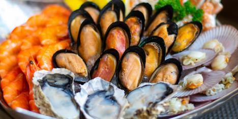 Una caleta "urbana” en Santiago: nuevo espacio busca acercar los sabores del mar a la ciudad