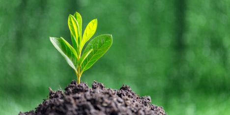 Menos papel y energía 100% renovable: la ecoeficiencia al centro de la estrategia