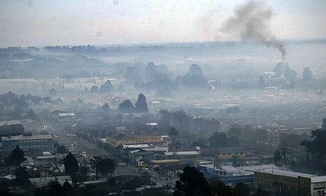 La tecnología chilena que quiere limpiar el humo de la leña con plantas