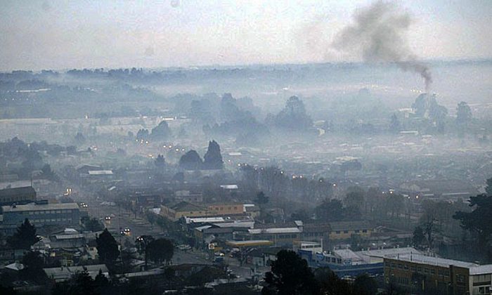 La tecnología chilena que quiere limpiar el humo de la leña con plantas