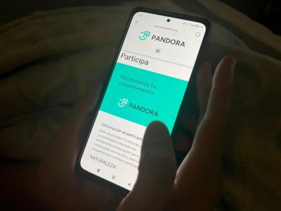 Desarrollada entre España y el Biobío: la app para prevenir la ansiedad y la depresión