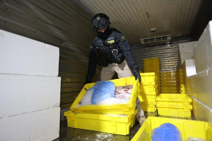 Merluza Gate: la red criminal que alcanzó a Sernapesca, Carabineros y el municipio