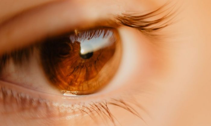 Protege tu visión: las vitaminas clave para la salud de tus ojos