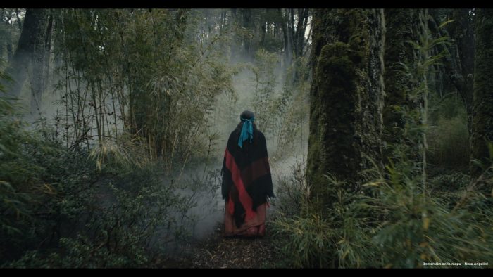 Obra audiovisual “Inmersión en la Mapu” en Centro Cultural de España