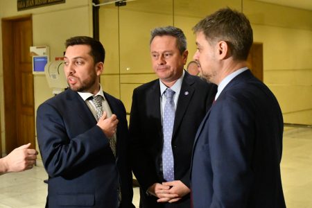 DC y PPD molestos con anuncio del PS sobre el TC: “No existe un acuerdo político”