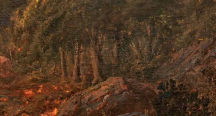 Lanzamiento del libro “Recolección. Artes en defensa de la naturaleza en Chile”