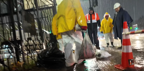 Aguas Andinas da cuenta de insólito hallazgo en alcantarillado de Puente Alto