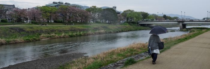 Ciudades más resilientes frente a las lluvias requieren áreas verdes mejor planificadas
