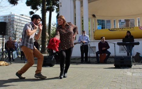 Día Nacional de la Cuequera y el Cuequero en Concepción