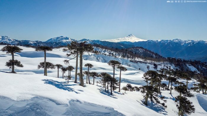 Invierno en el sur de Chile: destinos para disfrutar la nieve y el esquí en la Ruta Lagos y Volcanes