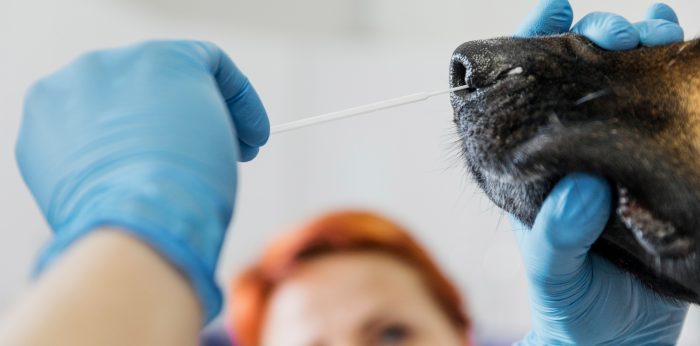Día Mundial de las Zoonosis: la salud de las personas comienza con la salud de los animales