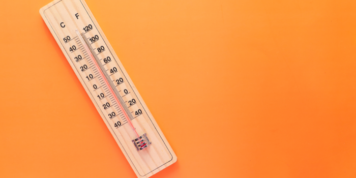 Europa enfrenta un calor récord: investigación identifica las causas del avance de las sequías