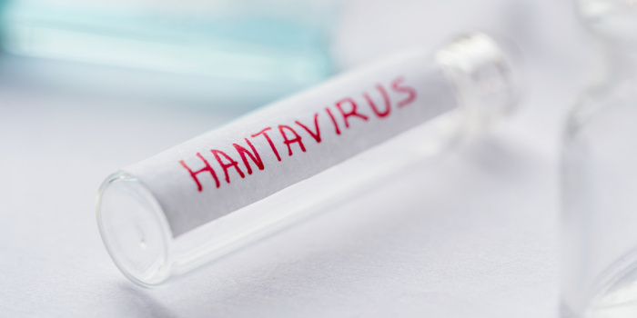 Especialista llaman a reforzar el diagnóstico precoz ante aumento de la letalidad por Virus Hanta