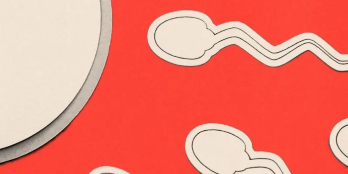 ¿Por qué la infertilidad masculina sigue relegada? "Se presupone que el problema es de la mujer"