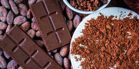 El nuevo valor del cacao: origen, biodiversidad e innovación transforman la industria