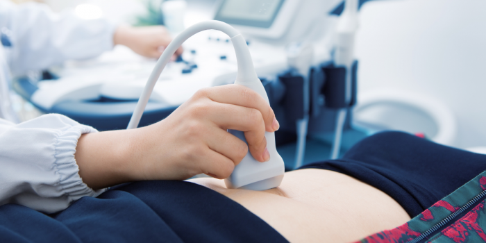 Polémica por proyecto que obligaría a ofrecer escuchar latidos del embrión antes del aborto