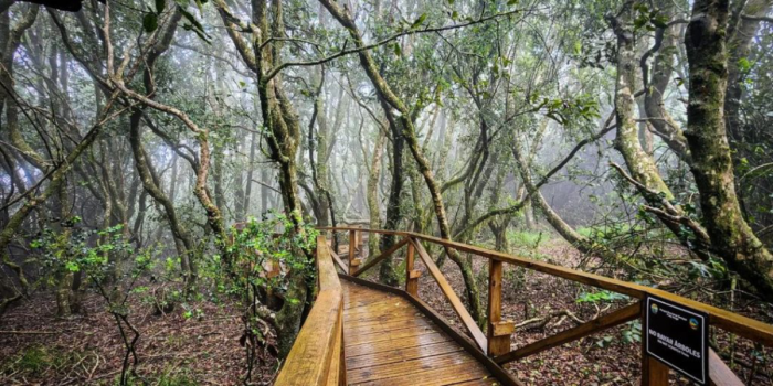 Naturaleza y economía del futuro: el valor de lo que nos sostiene