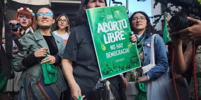 "Escucha su corazón": la ultraderecha chilena quiere obligar a las mujeres a oír el latido del feto