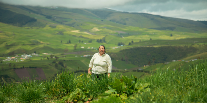 Fin del Programa Mujeres Rurales: el gobierno de Kast abandona a las jefas de hogar del campo