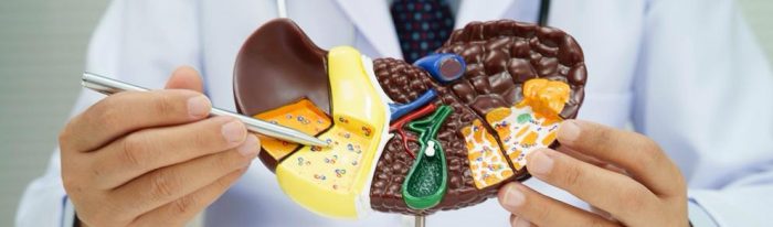 Hígado graso: la enfermedad silenciosa que puede causar cirrosis y cómo prevenirla a tiempo