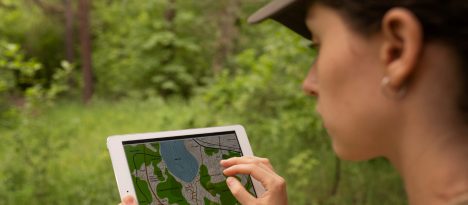 Inteligencia artificial al servicio de la fauna silvestre: oportunidad que no podemos desaprovechar