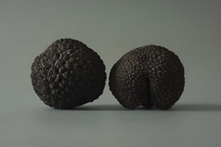 La temporada de la trufa negra inspira una nueva propuesta gastronómica en Santiago