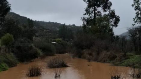 Fue arrastrado por crecida de estero: buscan a contratista de CGE desaparecido en medio de temporal