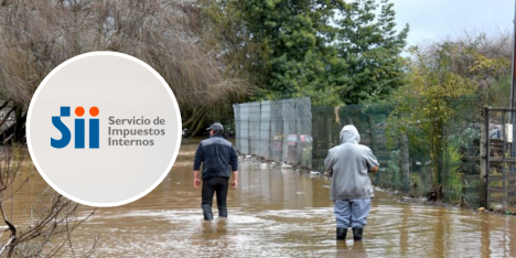 Si vives en estas comunas golpeadas por las lluvias, el SII no te cobrará multas al declarar tu IVA
