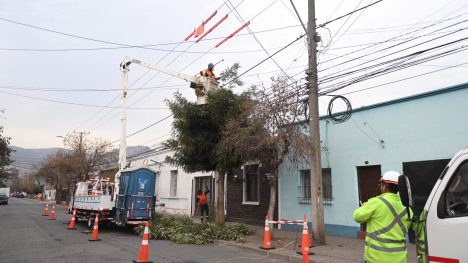Enel Distribución refuerza su operación ante frente pronosticado para la región Metropolitana
