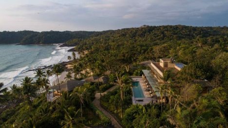 Del árbol a la mesa: el cacao impulsa una nueva forma de descubrir Brasil