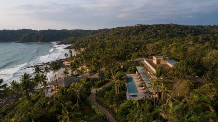 Del árbol a la mesa: el cacao impulsa una nueva forma de descubrir Brasil